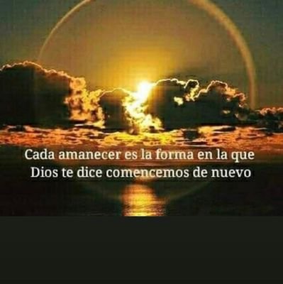 Steven49843170's profile picture. 