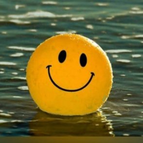 signoshotsofc's profile picture. 