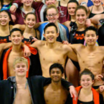 peeshen's profile picture. i build bases
pshεn#7189