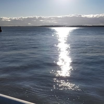 JoeySmurphy's profile picture. :-)