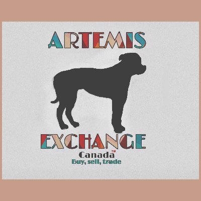 Artemis Exchange Canada is a father and daughter team. We specialize in physical media #DVD #movies #Vinyl #CDs #VHS