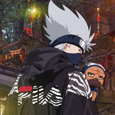 KakashiSeisen's profile picture. todo tranquilo