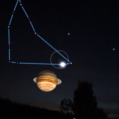 rcarlosreyes's profile picture. me preguntas por qué compro arroz y flores? compro arroz para vivir y flores para tener algo por lo que vivir / by confucio