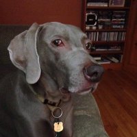 Joan Aline (@jmtmjt7337) 's Twitter Profile
