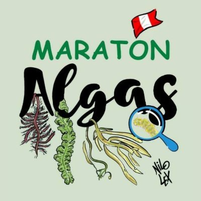 maratonalgas's profile picture. En esta primera edición Perú ¡Tendremos un ciclo de conferencias cientifico-académicos, con ponentes nacionales e internacionales!
https://maratonalgasperu.wix