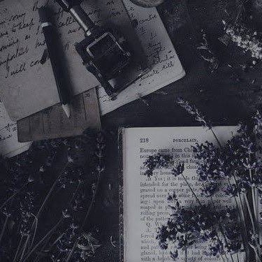 YBookbox's profile picture. In a world of books, you will find yourself