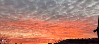 GonulUnal13's profile picture. 