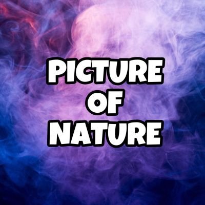 PNagire's profile picture. 