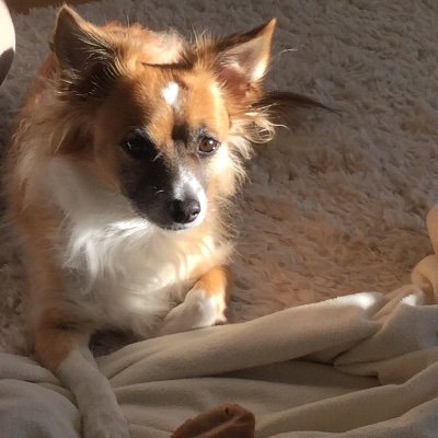 teachyourchildr's profile picture. kindness matters☮️