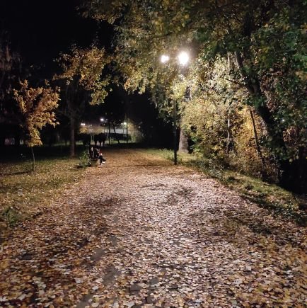 Ypnobatis1's profile picture. 