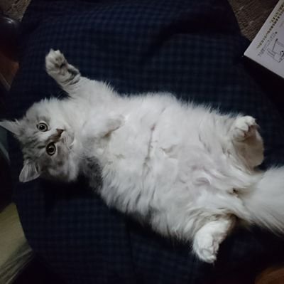 G6kfwmREa8iyoB1's profile picture. 友人関係が面倒くさくなった垢