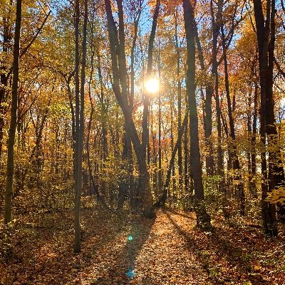 LauraChristmas3's profile picture. A stranger in a strange land.