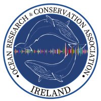 Smart Whale Sounds (@smartwhalesound) 's Twitter Profile