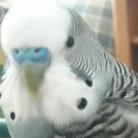 TellTheTruth (@truthtotweet) 's Twitter Profile Photo TellTheTruth (@truthtotweet) 's Twitter Profile Photo