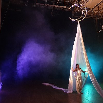 Director Aerial Dancer, Rigger, Performer, Actor, P.T., Musician, Model, Sports Holistic therapy