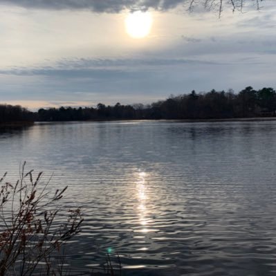 duley_jack's profile picture. Owner/Developer @JaybotIO | Staff @ShusiACO