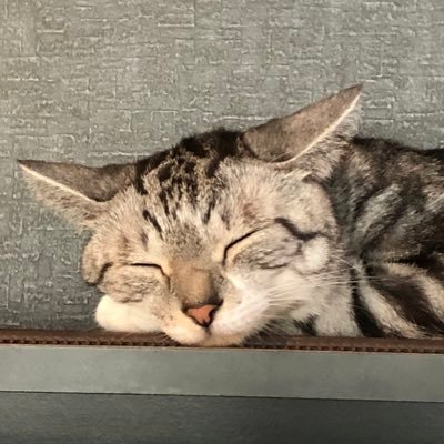 aCkHyMK2A2HSlYK's profile picture. 
