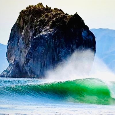 SalYazdani's profile picture. Money Never Sleeps ¥€£$₿