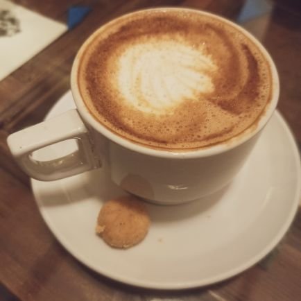 mailovbtvsk's profile picture. 🇮🇱🇵🇪