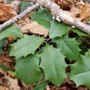 Shane Eden - @ShaneEden8 - Twitter