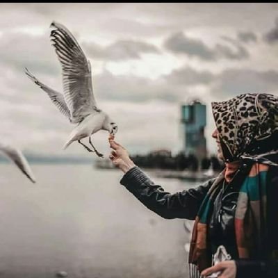 İstanbul aşığıı