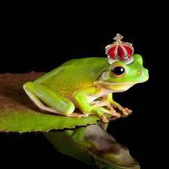 Eat_A_Leter's profile picture. 手紙をインストールする手段として紙を食べることにした。