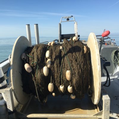 copperriverbum1's profile picture. Commercial Fisherman
