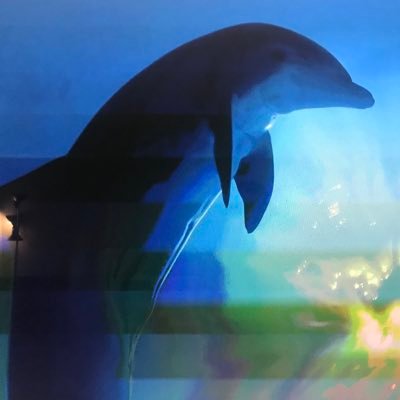 Isra___G's profile picture. 