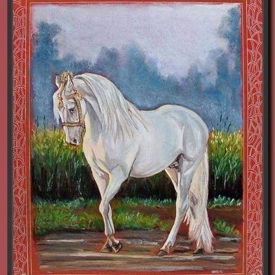 PakistanHorses Profile Picture