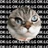 CryptomeowLord's profile picture. TA since 2017. $KDA  $SHIB 💎 💎💎 🚀🚀🚀 all tweets NFA