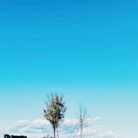 yocchi (@fantajista7) 's Twitter Profile Photo yocchi (@fantajista7) 's Twitter Profile Photo