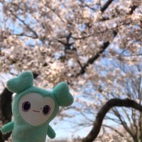 みーたさん (@hanipenpen1004) 's Twitter Profile Photo
