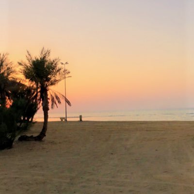 العدل ميزان الحياة