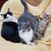 MİNNOŞ &ŞEŞ & ŞİLÂ (@turkeyt04187116) Twitter profile photo MİNNOŞ &ŞEŞ & ŞİLÂ (@turkeyt04187116) Twitter profile photo