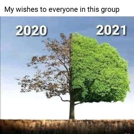 Evans24363762's profile picture. 