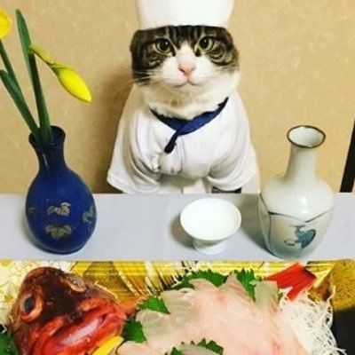 kamogawaryouma's profile picture. Freedom & Liberty