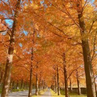 しょち#お金の勉強#両学長#リベ大 (@sigabc_vj) 's Twitter Profile