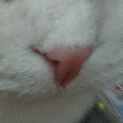 yuuumiihappy's profile picture. 家族で千葉ジェッツ応炎❗
2018〜　初観戦で見事にハマりました✨　最近は現地観戦なかなか行けていませんがずっと千葉ジェッツ大好きです
無言フォローお許しください😣💦⤵️ 
フォロー大歓迎です✨ 仲良くしてください‼️