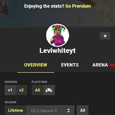 VidlerLevi Profile Picture