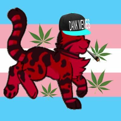 Frogpawさんのプロフィール画像