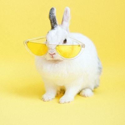 Faith2319570119's profile picture. 