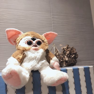 gizmomomo_furby's profile picture. 突如ファービーにハマり出し2匹のファービーと暮らしはじめたアラサー女が中の人です🧶 おもちゃの病院を退院し、喋れるようになりました☘️ 気付いたらポプマ沼に両足突っ込んでますがファービーも元気です。