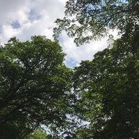 あいかわたくみ×「文章力で勝負する」司法試験講師 (@ta_legal32) Twitter profile photo