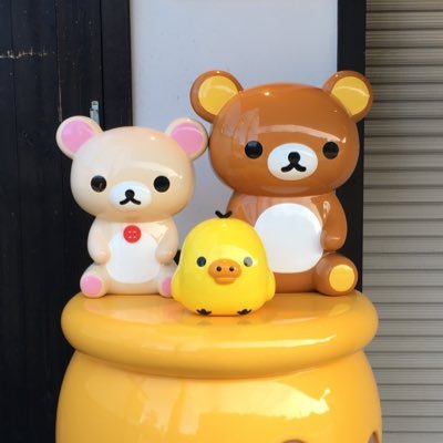TGCF all day long ~ | 30 | Travel Enthusiast