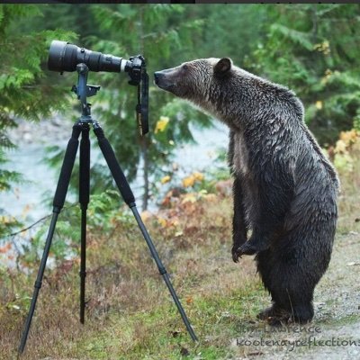 Taillan04882623's profile picture. La supériorité est dans la maîtrise de l’information, pas dans la sauvegarde d’un quelconque privilège, ni dans la défense d’une idéologie.