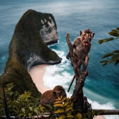 artisanroasters's profile picture. Artisans who love the art of coffee roasting | Coffee is our craft; people our passion.