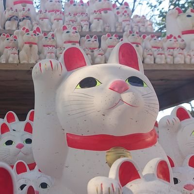 nabetcho's profile picture. 東京生まれ