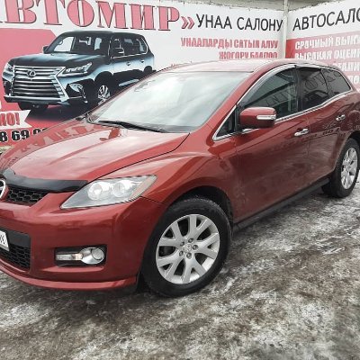 zamir02849082's profile picture. 