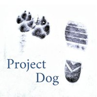 Project Dog (@projectdog1) 's Twitter Profile