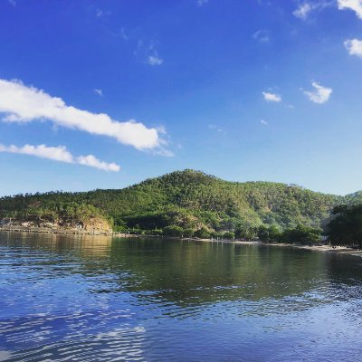 Twisted60637105's profile picture. Geordie living in Singapore. Newcastle fan and part time Ice/inline hockey player. love my family and football manager enthusiast. My views are my own.